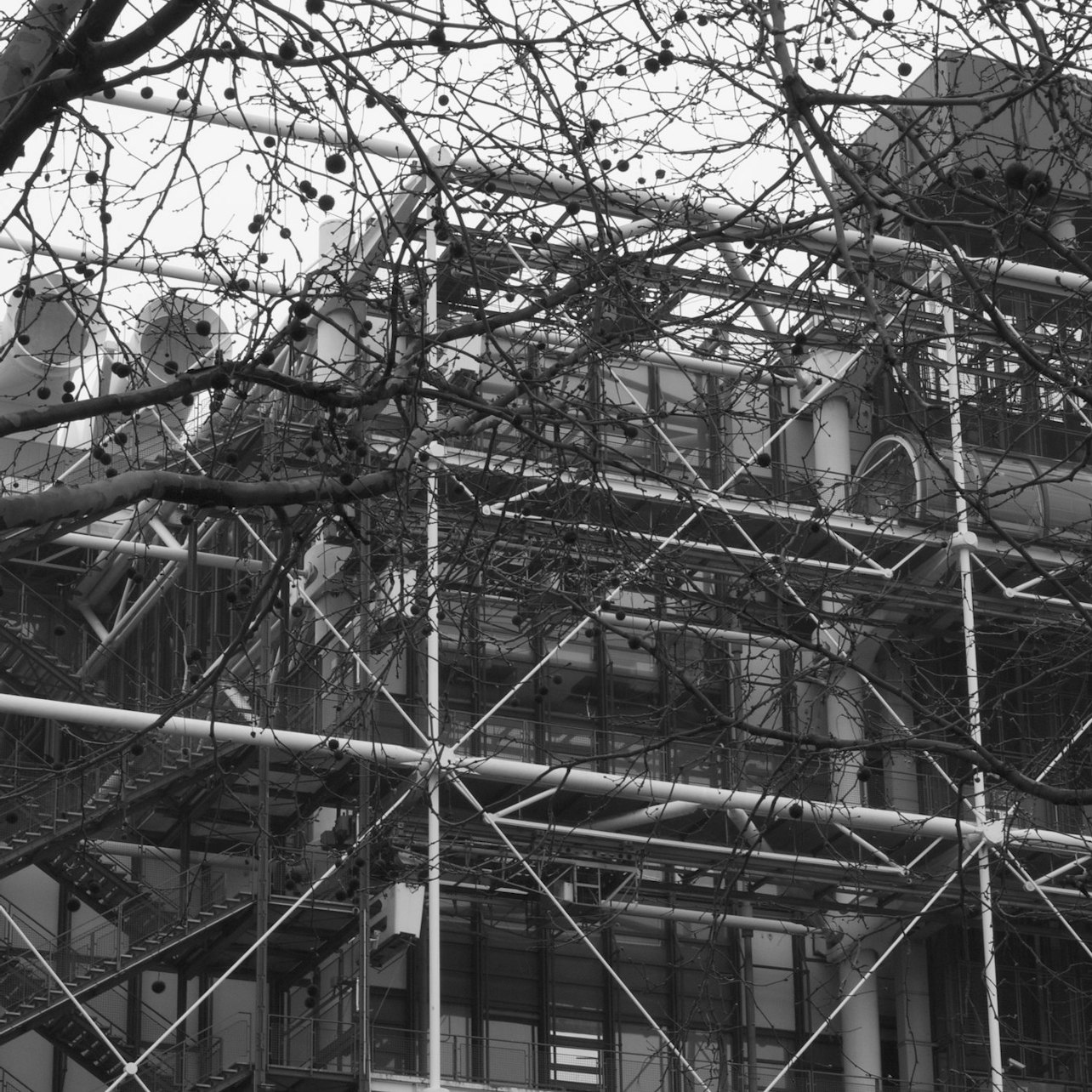 Immagine cover di Ufficio contro funzionario